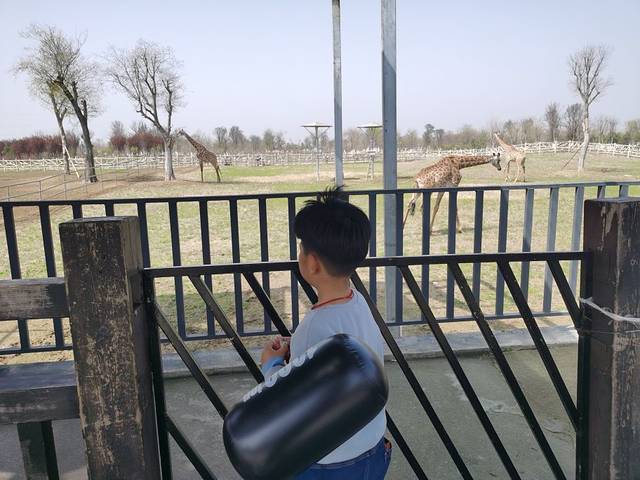 宿州野生动物园