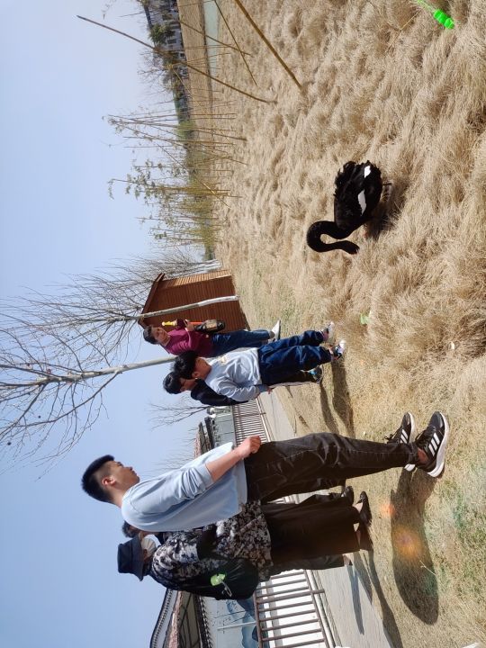 宿州野生动物园