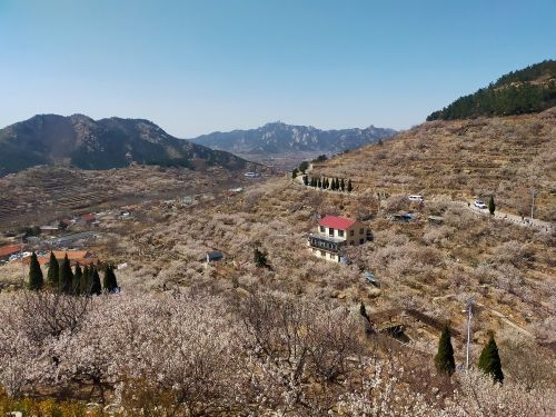 北宅农业生态旅游区