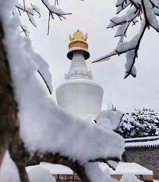 黛螺顶旅游景点攻略图