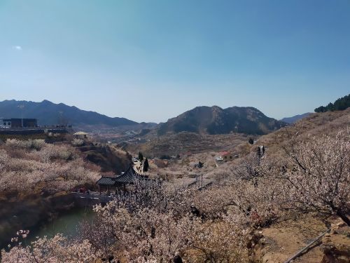 北宅农业生态旅游区