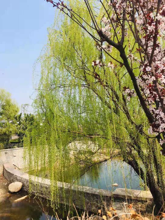 仰口景区-太平宫