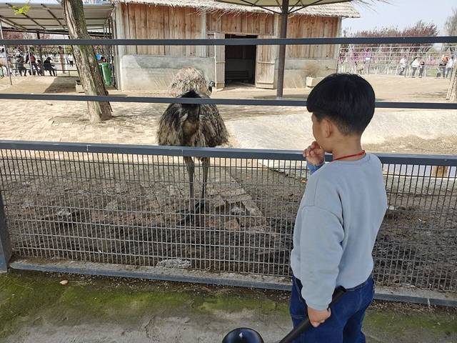 宿州野生动物园