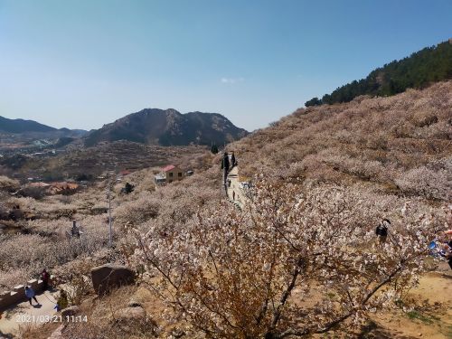北宅农业生态旅游区