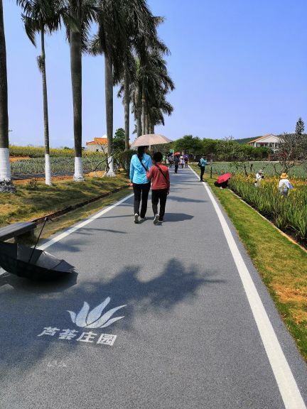 瑷露德玛芦荟庄园