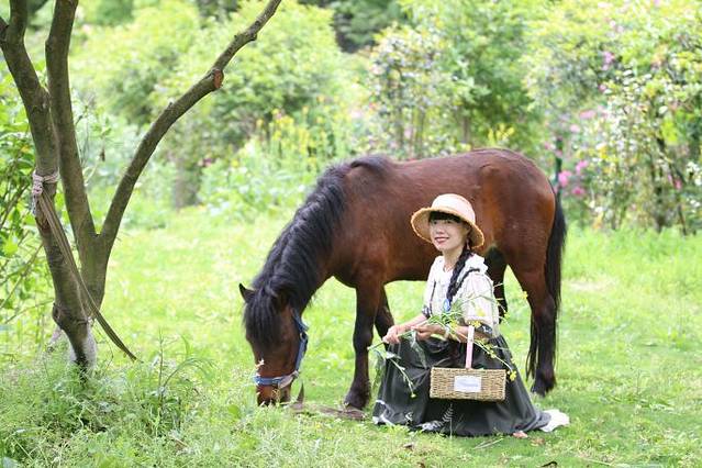 北仑丽盛玫瑰庄园