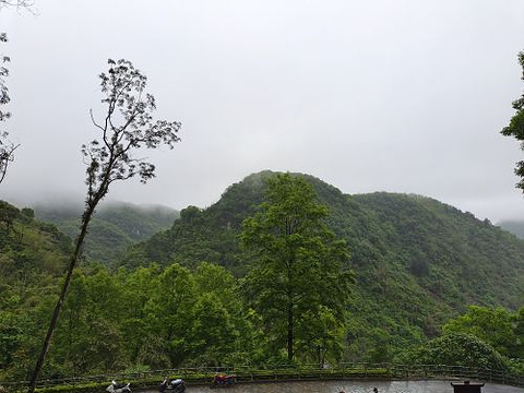 罗城棉花天坑