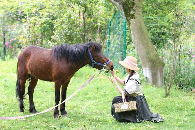 北仑丽盛玫瑰庄园