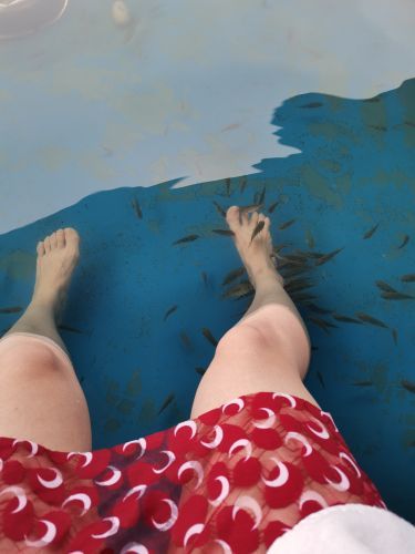 四季贵州山地温泉水世界