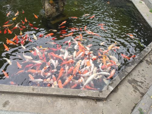 泰山风景名胜区-碧霞祠