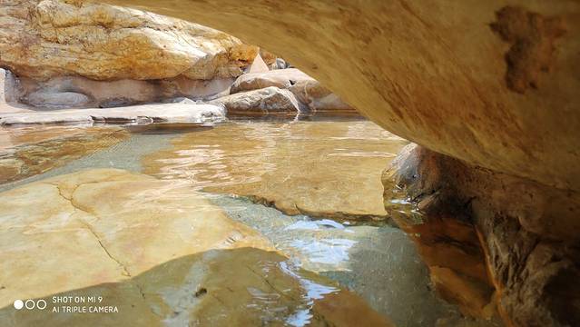 美的鹭湖半山汤谷