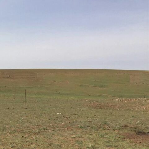 希拉穆仁花海景区