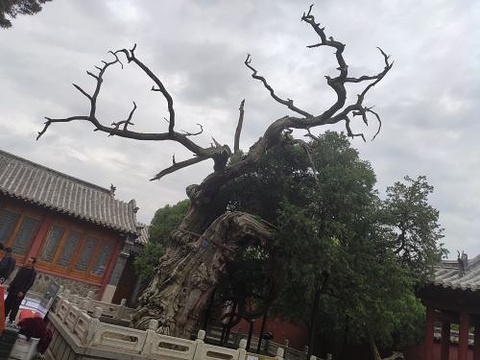 碧霞祠旅游景点图片