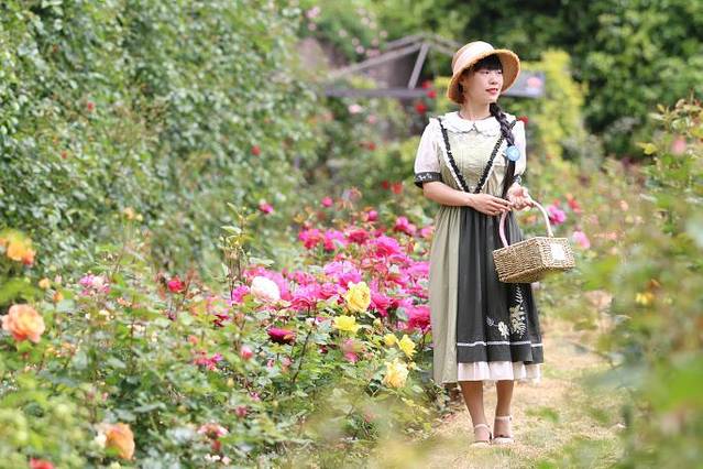 北仑丽盛玫瑰庄园