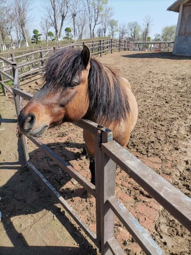 宿州野生动物园