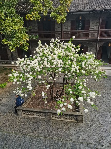 千古传奇东关街历史文化陈列展示馆