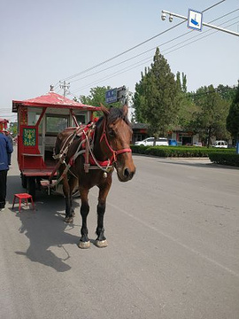 孔庙旅游景点攻略图