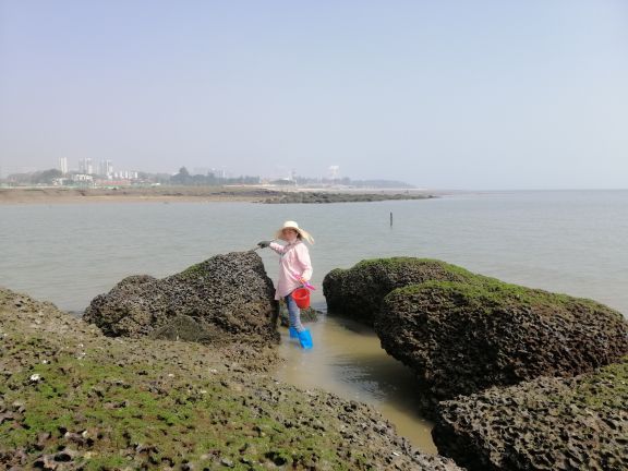 风运航旅帆船体验