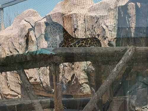 宿州野生动物园