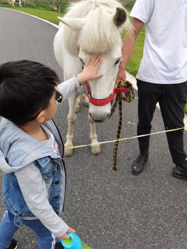 莫干山开元森泊度假乐园