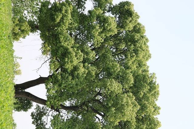 良渚古城遗址公园