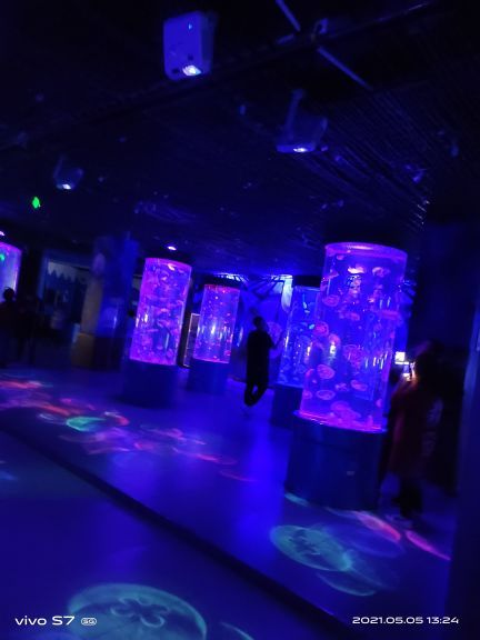 山西海立方海洋公园