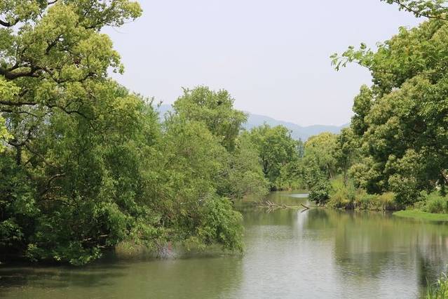 良渚古城遗址公园
