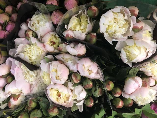 昆明斗南花卉市场