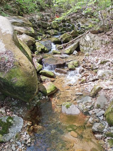 关门山生态大峡谷