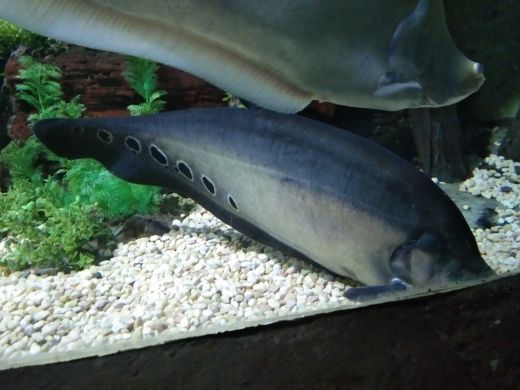 临沂海洋世界主题公园