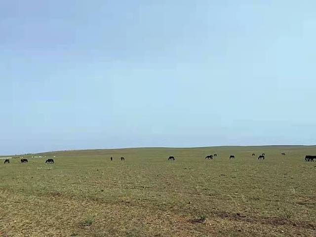 呼和浩特市蒙牛工业旅游景区