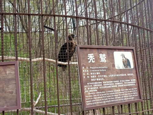 沈阳森林动物园