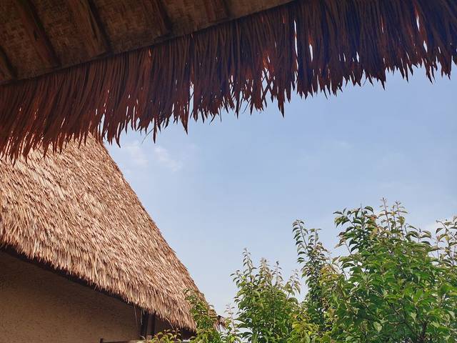 良渚古城遗址公园