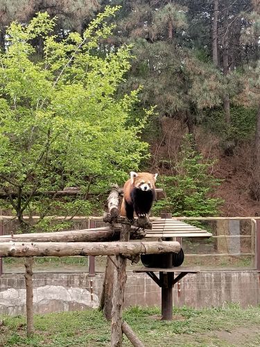沈阳森林动物园