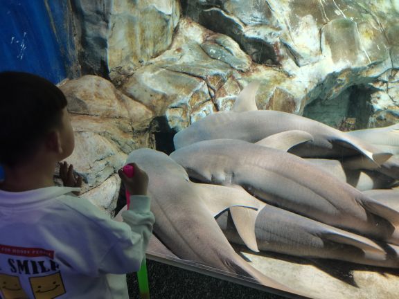 临沂极地海洋王国