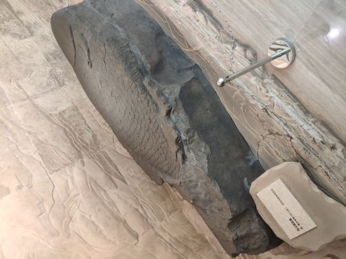 白鹤梁水下博物馆