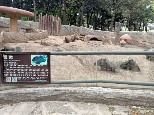 沈阳森林动物园