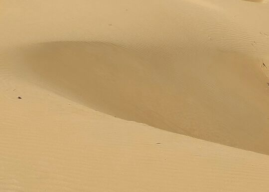 蒙亮民族风情园