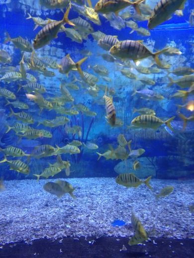 临沂海洋世界主题公园