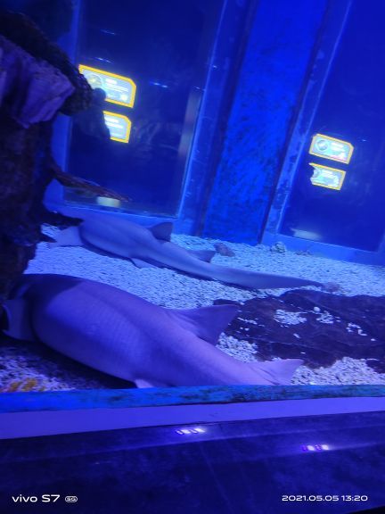 山西海立方海洋公园