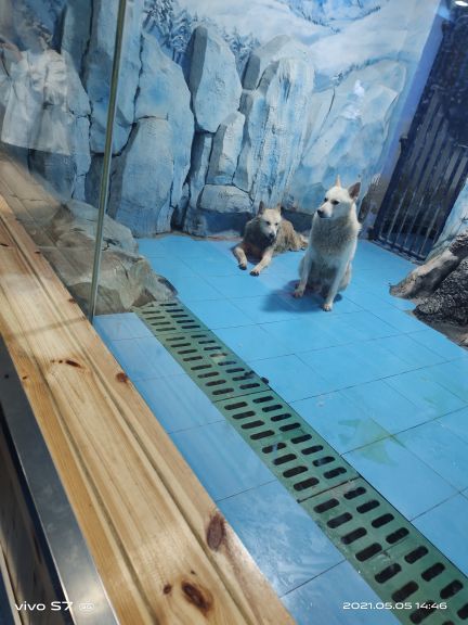 山西海立方海洋公园