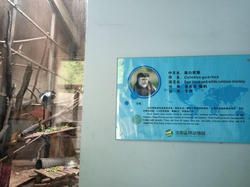 沈阳森林动物园