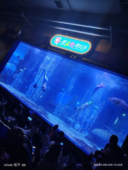 山西海立方海洋公园