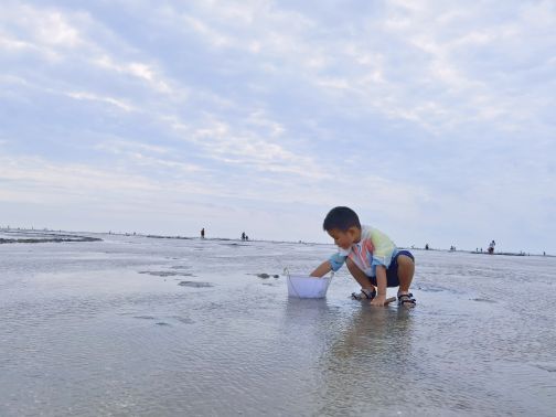 红树林欢乐赶海
