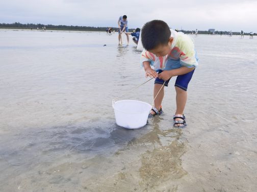 红树林欢乐赶海