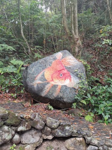 万绿湖•镜花缘游览区