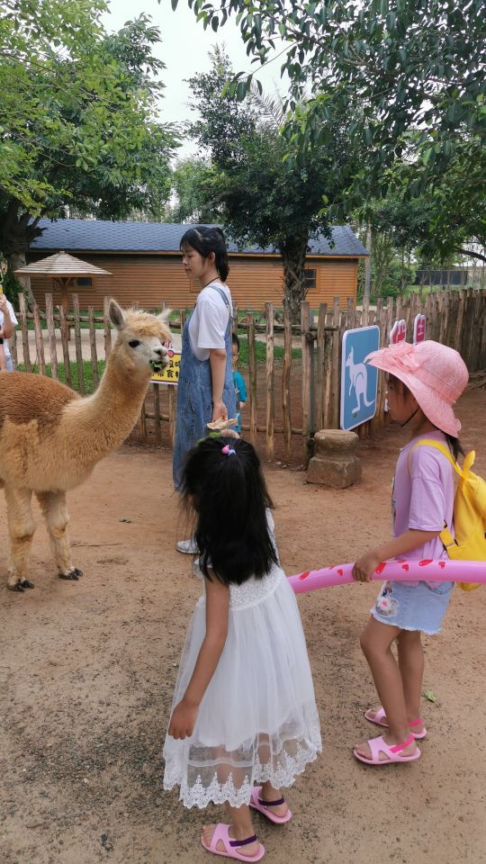 天鹅湖动物基地