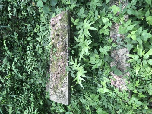 波尔登森林公园