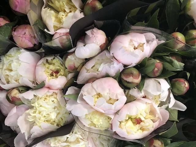 昆明斗南花卉市场