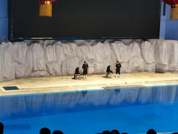 临沂极地海洋王国